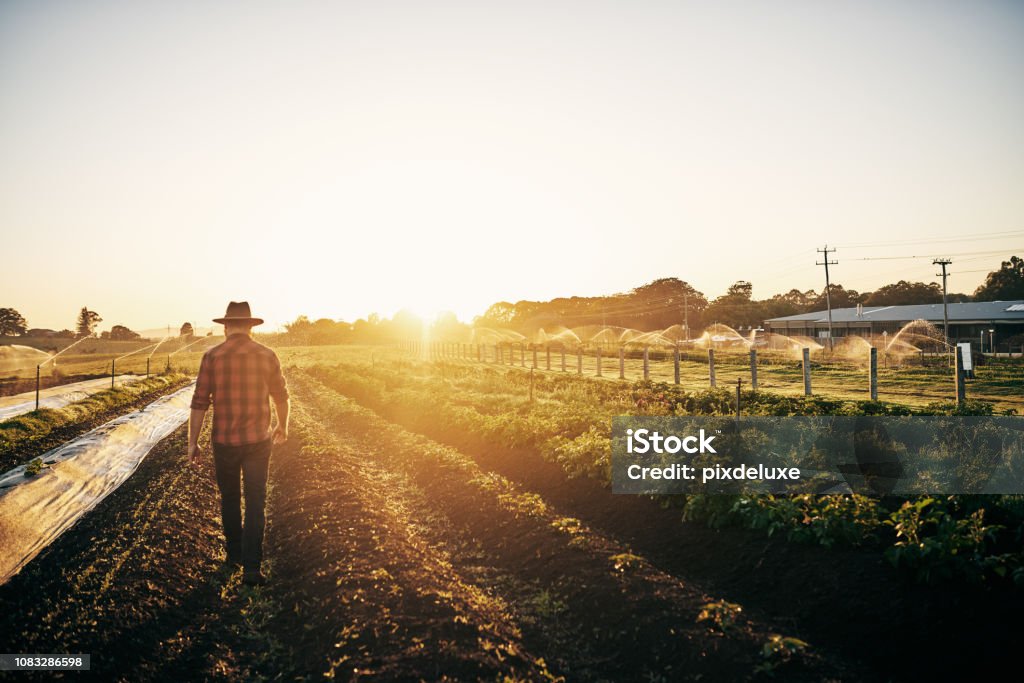 Water Irrigation System